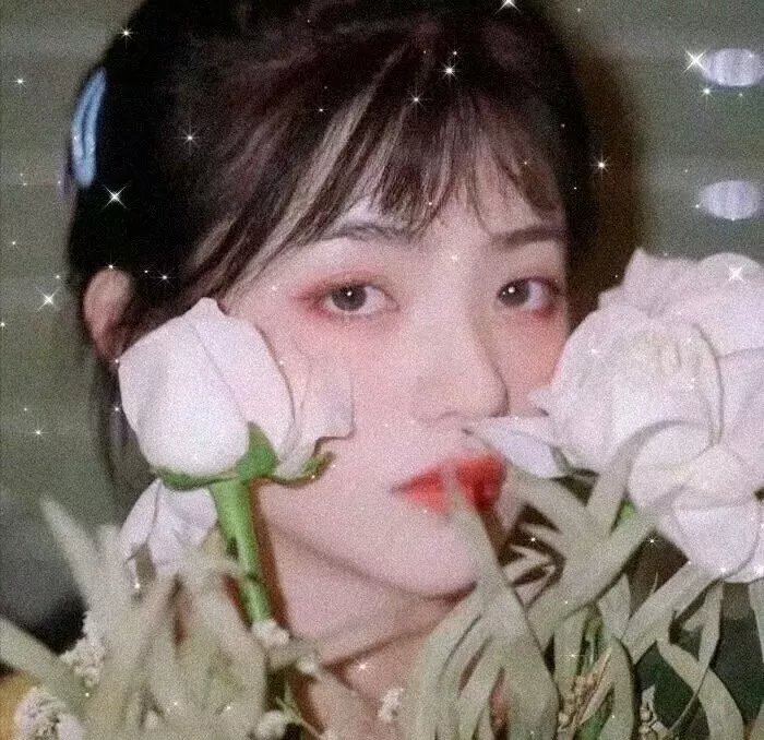 才子佳人